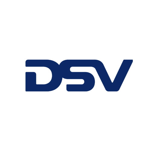 dsv logo profile picture